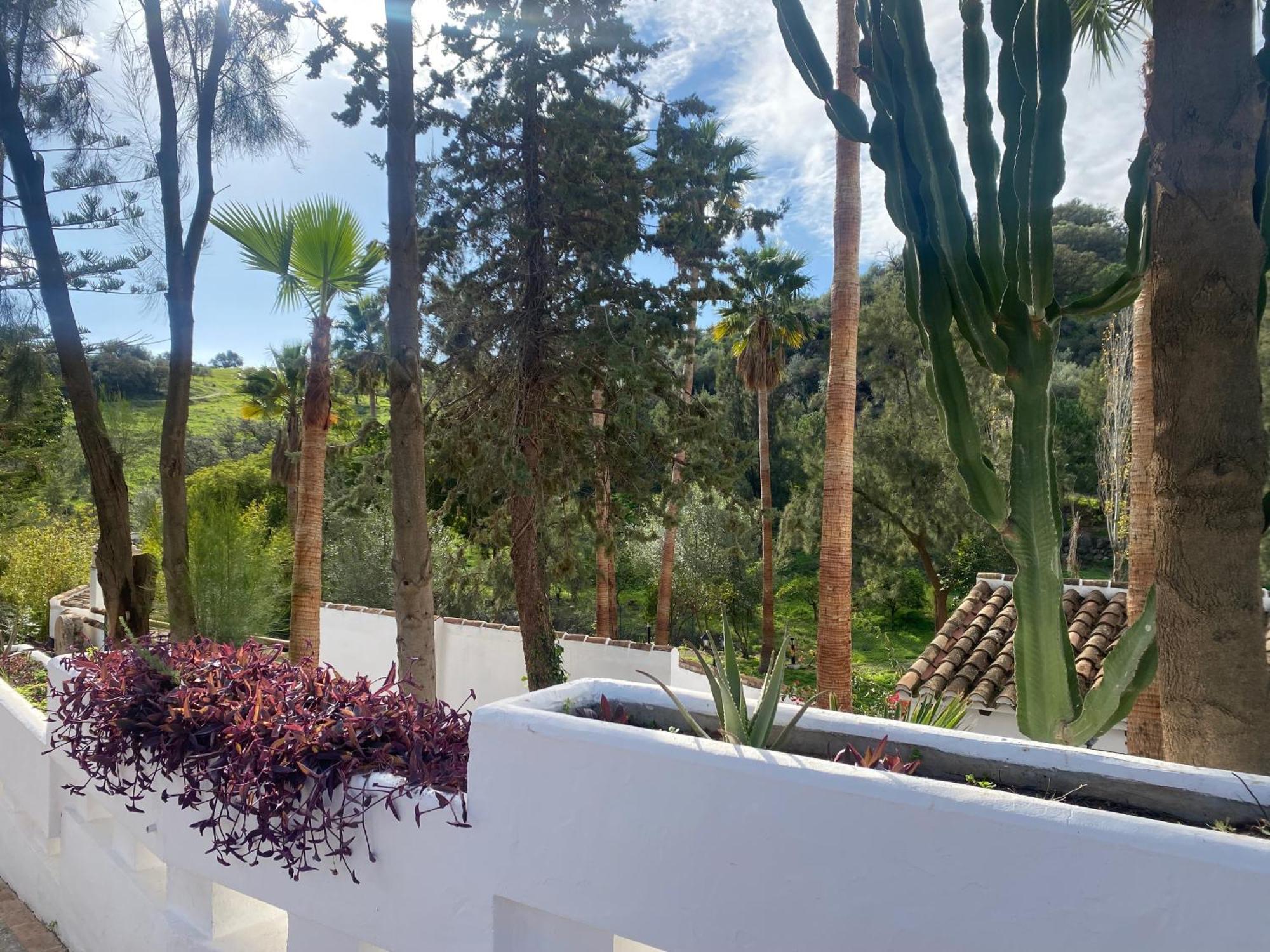 Malaga Sierra De Las Nieves By Real Spain Hotels Adults Recommended Casarabonela Εξωτερικό φωτογραφία