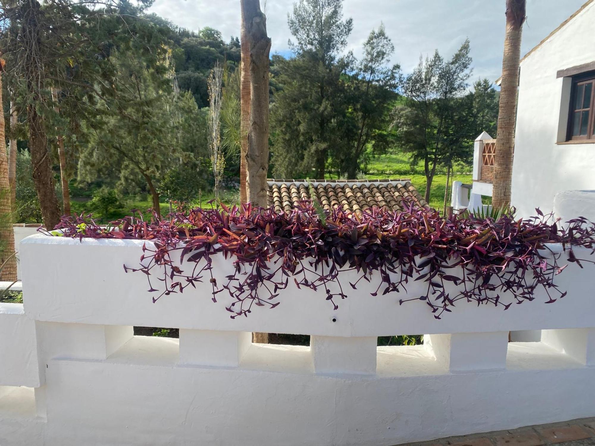 Malaga Sierra De Las Nieves By Real Spain Hotels Adults Recommended Casarabonela Εξωτερικό φωτογραφία